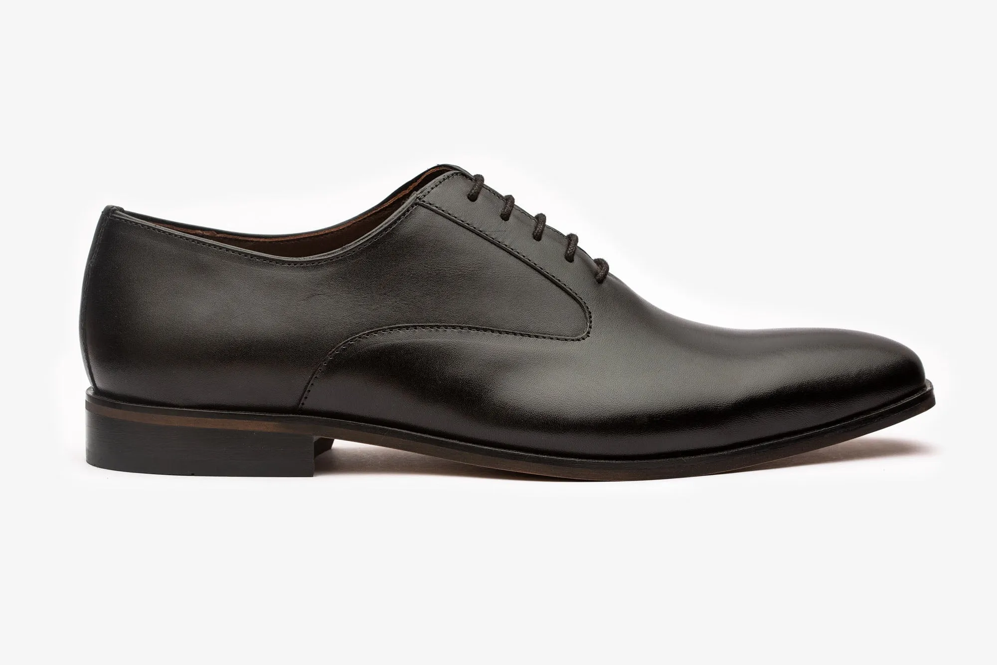 Swan Neck Oxford-B